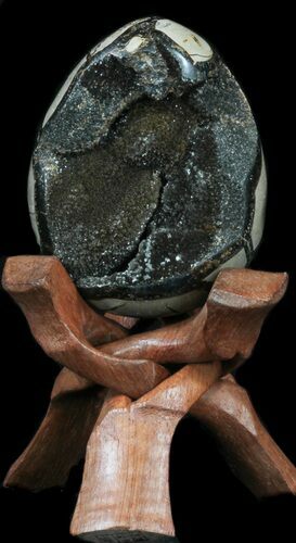 Septarian Dragon Egg Geode - Black Calcite Crystals #33997